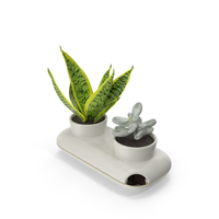 Sagaform Fresh Herb Pot Double White PNG & PSD Images