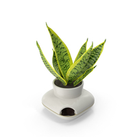 Sagaform Single Herb Pot White PNG & PSD Images