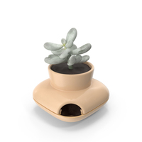 Single Herb Pot Sagaform Beige PNG & PSD Images