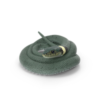 Ringed Snake Green Coiled PNG & PSD Images