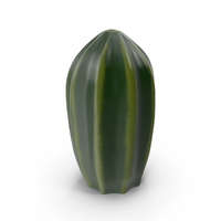 Ceramic cactus decor PNG & PSD Images