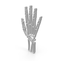 Hand Bones Joints Logo PNG & PSD Images