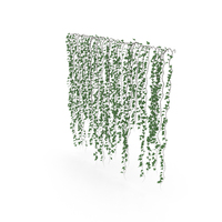 Ivy Wall PNG & PSD Images