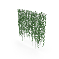 Ivy Wall PNG & PSD Images