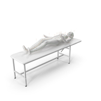 Female Acupuncture Mannequin on the Couch PNG & PSD Images