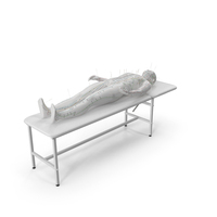 Male Acupuncture Mannequin On The Couch PNG & PSD Images