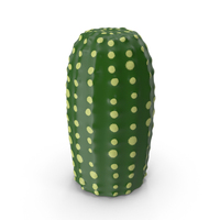 Ceramic Deco Cactus PNG & PSD Images