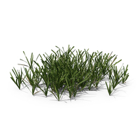 Cut Lawn Grass Patch PNG & PSD Images