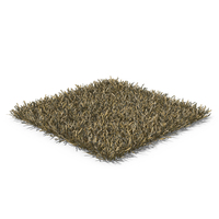 Cut Square Lawn Dry Grass Patch PNG & PSD Images