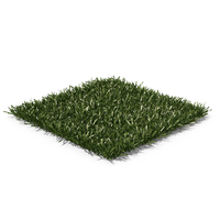 Cut Square Lawn Grass Patch PNG & PSD Images