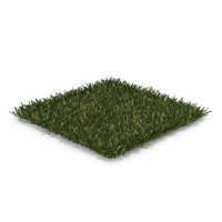 Cut Square Lawn Half Dry Grass Patch PNG & PSD Images
