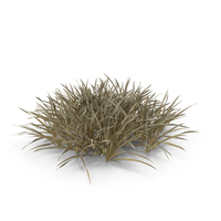 Long Lawn Dry Grass Patch PNG & PSD Images