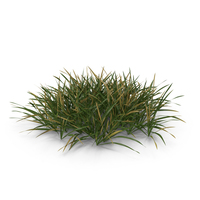 Long Lawn Half Dry Grass Patch PNG & PSD Images