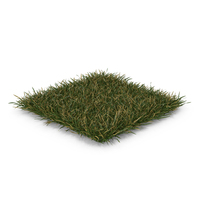 Long Square Lawn Half Dry Grass Patch PNG & PSD Images