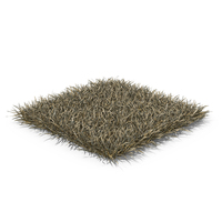Long Square Lawn Dry Grass Patch PNG & PSD Images