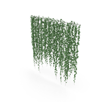 Ivy Wall PNG & PSD Images