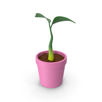 Small Plant PNG & PSD Images