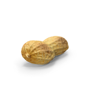 Peanut Shell PNG & PSD Images
