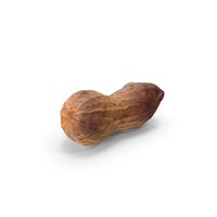 Peanut Shell PNG & PSD Images