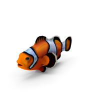 Tropical Clownfish PNG & PSD Images