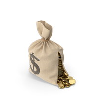 Torn Money Bag PNG & PSD Images