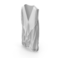 Transparent White Sleeveless Blouse PNG & PSD Images