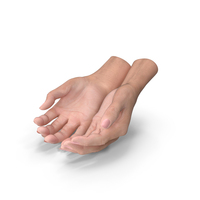 Hands Holding PNG & PSD Images