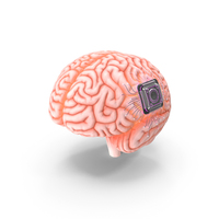 Human Brain With Implanted Microchip Lighted PNG & PSD Images