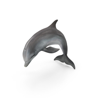 Realistic Bottlenose Dolphin Jump PNG & PSD Images
