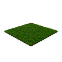 Zoysia Grass Patch PNG & PSD Images