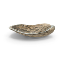 Oyster PNG & PSD Images