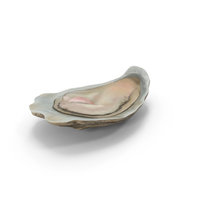 Opened Oyster PNG & PSD Images