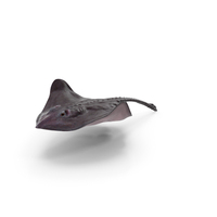 Gray Stingray Floating On The Bottom PNG & PSD Images
