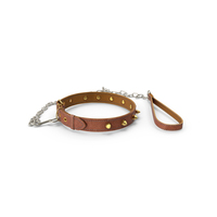 Dog Collar PNG & PSD Images