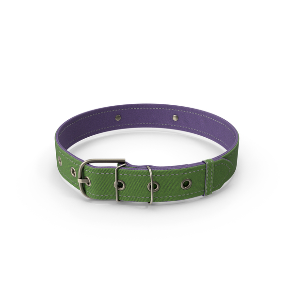 Dog Collar PNG & PSD Images