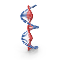 DNA Helix Model PNG & PSD Images