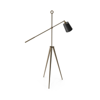 Brushed Brass Floor Lamp PNG & PSD Images
