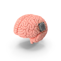 Human Brain With Implanted Microchip PNG & PSD Images