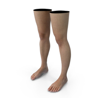Female Legs PNG & PSD Images