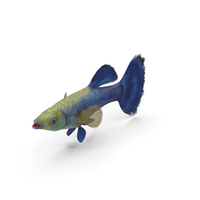 Guppy Fish Blue Diamond PNG & PSD Images