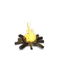 Campfire With Burning Logs PNG & PSD Images