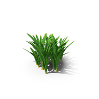 Realistic Grass Clump PNG & PSD Images