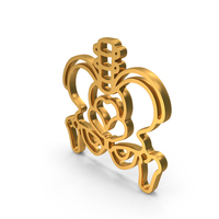 Out Line Hip Skeleton Anatomy Icon Gold PNG & PSD Images