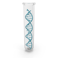 DNA Lab Tube PNG & PSD Images
