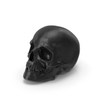 Skull Black PNG & PSD Images