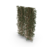 Green Living Wall PNG & PSD Images