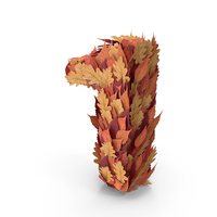 Autumn Leaves Number 1 PNG & PSD Images