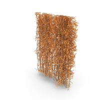 Yellow Living Wall PNG & PSD Images
