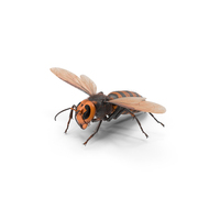 Giant Asian Hornet Fur Flying Pose PNG & PSD Images