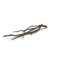 Heap of Dry Branches PNG & PSD Images